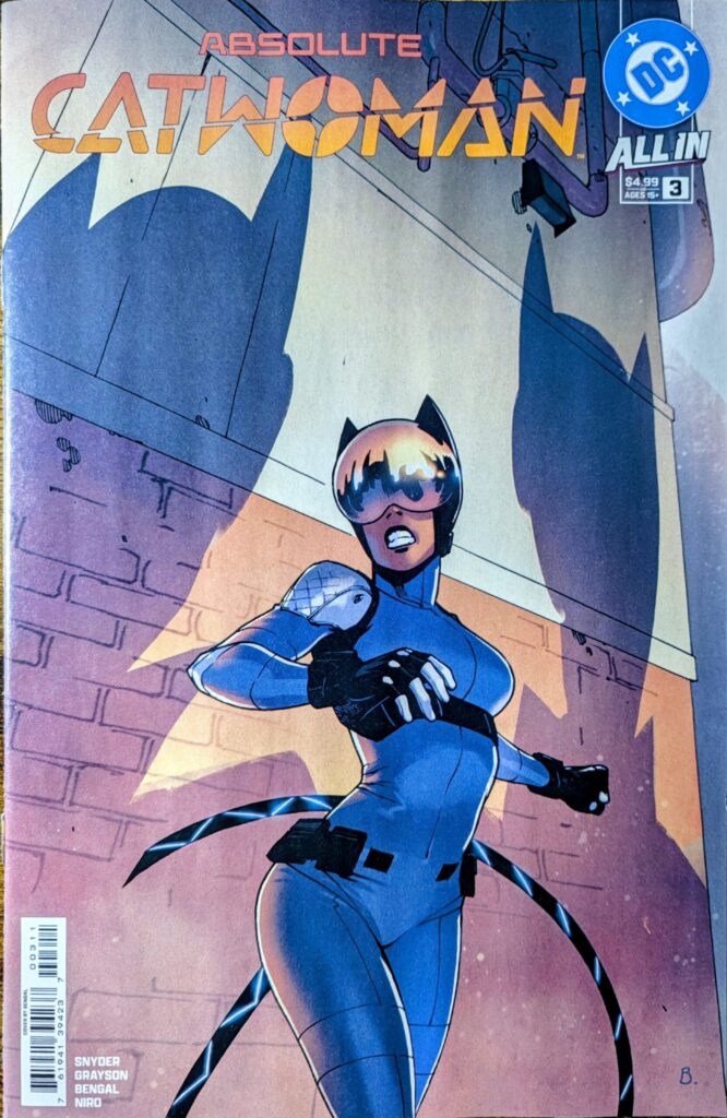 Absolute Catwoman #3 comic book cover A depicting Absolute Catwoman against a wall with two shadows cast behind her of two other catwoman like shaped helmets.